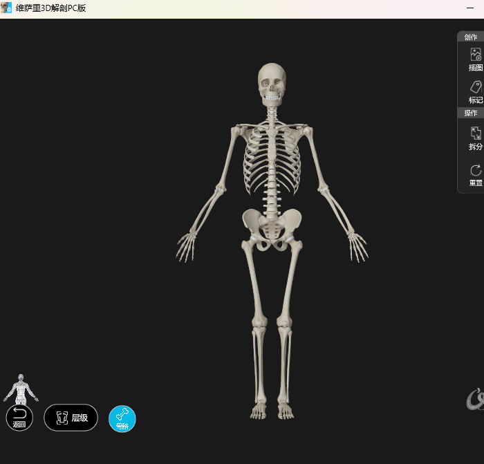 ά����3D����