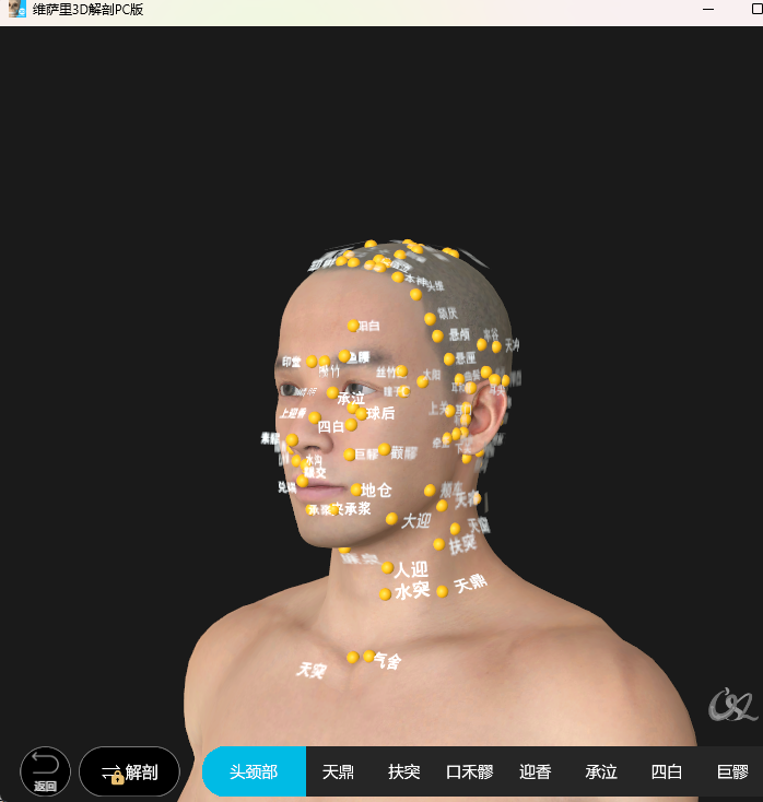 ά����3D����