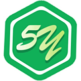 5Y