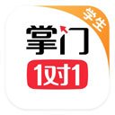 掌门1对1